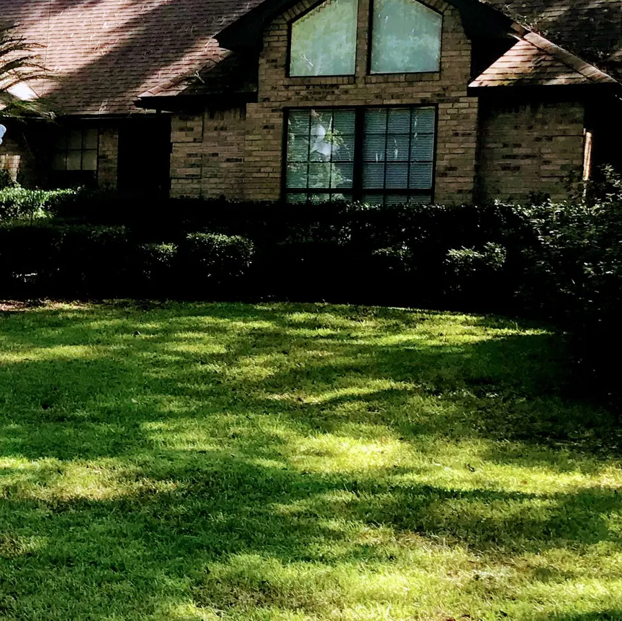 Lawn and shrubs in front of a brick home